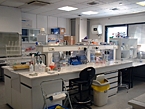 Biochemistry room 1