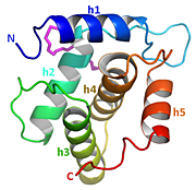 p15 matrix protein